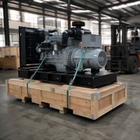 Groupe électrogène diesel étanche de 15 kW pour alimentation de secours résidentielle LINGGE Triphasé 400V 50Hz avec ATS