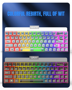 <span class=keywords><strong>Clavier</strong></span> de jeu mécanique filaire <span class=keywords><strong>K60</strong></span> à 68 touches avec capuchon transparent rétro-éclairé RVB à commande optique pour ordinateur portable Nouveau produit - Product Image 4