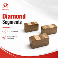 SS-S099 Segments diamantés professionnels polis multicouches en forme de B de 1000-2000 mm pour lame de scie à granit avec coupe nette