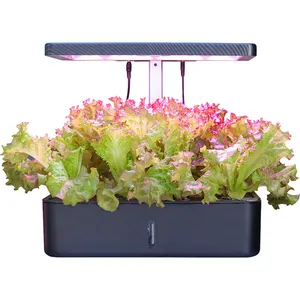 Neuankömmling Indoor Smart Garden Pflanzer für Home Kitchen Hydro ponics Growing System