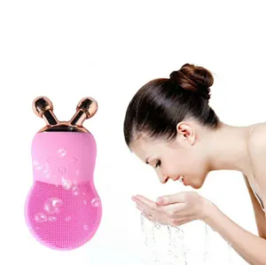 3 in 1 Soft Heads Ultrasonic Ionic Sassy Chic Smart Electric Manual Multi-function Massager Facial Cleansing Brush