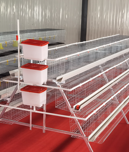 Nouvelles cages à poulets automatiques en acier de type A pour l'élevage de poules pondeuses - Product Image 4