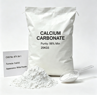 Poudre de Carbonate de Calcium Nano (CaCO3) de Haute Pureté (98%) de Qualité Industrielle et Alimentaire pour les Applications de Masterbatch Plastique et de Peinture