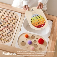 Table sensorielle pour enfants, éveil et éducation précoce, multifonctionnelle, cognition sensorielle, jeu de correspondance des couleurs et des tailles, table de jeu Montessori, tableau cognitif