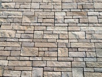 Carreaux de mur extérieur en pierre calcaire jaune, finition brute, durables