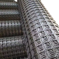 HDPE Heavy-Duty Tuinhekwerk van gaas 3mm Buitenhek voor groenteveld en boomgaard Plastic Geogrid