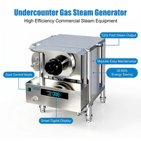Générateur de vapeur à gaz sous comptoir 50KW 70kg/h avec échangeur de chaleur en acier inoxydable 304, économie d'énergie 30%-50% pour la cuisson à la vapeur des pains