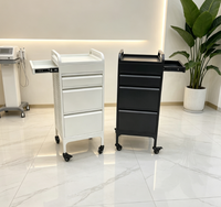 Chariot de rangement professionnel en métal pour salon de beauté, 4 tiroirs, rails silencieux, chariot utilitaire pour clinique de soins de la peau, hôpital