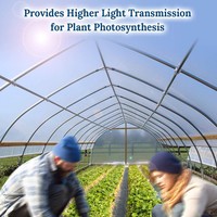 Film de serre PE avec protection UV pour la plantation, 5 ans, anti-goutte, anti-buée, pour tunnel polyvalent, culture de tomates