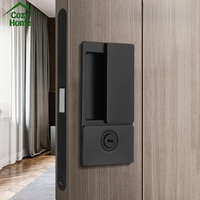 Poignée de porte en zinc, poignées de porte coulissantes dissimulées, poignée de porte moderne de luxe, cylindre de serrure magnétique intégré, poignées de porte carrées, serrure