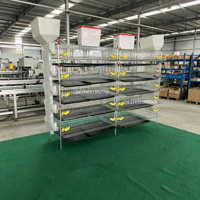 Cage d'élevage de cailles haute capacité, système de rayonnages galvanisés à plusieurs niveaux pour la production d'œufs et de viande