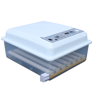 Nueva Incubadora de Huevos <span class=keywords><strong>Mini</strong></span> para 48/<span class=keywords><strong>56</strong></span>/64 Huevos de Gallina, Material Plástico PP, para Incubación de Patos, Codornices y Pavos, Precio en Nepal - Product Image 5