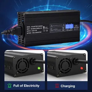 Customized 12V 24V 36V 48V 60V Li Ion Lifepo4 Smart Car Ebike Battery Charger For E Motorcycle Scooter Golf Cart