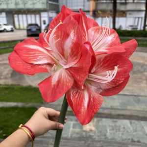 LO-610 Vente en gros de fleurs artificielles réalistes de 64 cm, Clivia à toucher réel, hydratante, à tige unique, <span class=keywords><strong>Amaryllis</strong></span>, fleur artificielle pour la décoration de la maison - Product Image 1