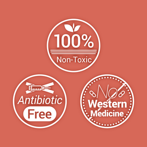 Extraits de bêta-glucanes personnalisés ODM IMMAGRO pour la santé des animaux d'élevage, la régulation immunitaire, le soutien immunitaire, l'alimentation animale - Product Image 3