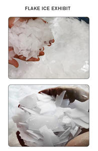 500 كجم/يوم التجارية ماكينة تكسير الثلج لتصنيع المواد الكيميائية/تجهيز الأغذية - Product Image 5