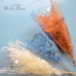 Hflora offre en gros un grade fleur préservée Real Touch fleur préservée Ming fougère asperges pour la décoration de mariage personnalisée - Product Image 6