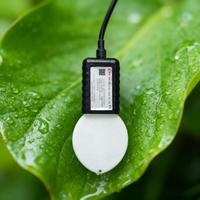 Sensor Kelembapan Daun Rika RK300-04 Desain Daun Simulasi Mengukur Kelembapan & Suhu 4-20mA 0-5V RS485 SDI-12 IP65
