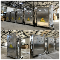 500g/H Edelstahl Automatischer Ozongenerator Wasseraufbereitungsanlage Umweltfreundlich CE-Zertifiziert Pumpenmotor Lange Lebensdauer