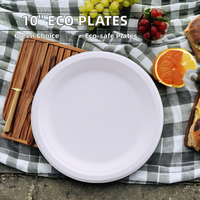 Fabricant d'assiettes de fête biodégradables en vente directe Grandes assiettes jetables Vaisselle compostable pour mariage
