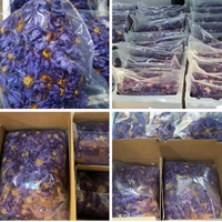 Té de Flores de Loto Azul Premium, Natural y Herbal, de Marca Privada OEM, Venta al Por Mayor de Fábrica China, Suplemento de Flores Secas Integrales
