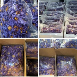 Té de Flores de Loto Azul Orgánico Natural Herbal de Primera Calidad, Suplemento de Flores Enteras Secas, Venta al por Mayor de Fábrica China, Marca Privada OEM - Product Image 2