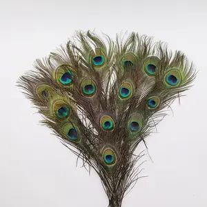 hot selling natural 40-50cm peacock feather