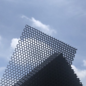 Ronde gat polycarbonaat honingraat decoratief paneel voor architectonische en interieurtoepassingen - Product Image 1