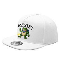 Gorra Snapback Personalizada al por Mayor con Logotipo, Bordado de Rana, Visera Plana, Estilo Hip Hop, Gorra de Béisbol para Hombre, Ropa Urbana, Gorras Ajustables con Cierre a Presión