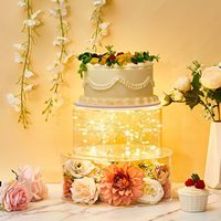 Nouveaux Designs 4 en 1 Séparateur de Gâteau en Acrylique 6/8/10/12 Pouces avec Lumière, Présentoir Clair en Acrylique pour Anniversaire, Mariage, Grande Fête