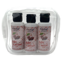 Ensemble Gel Douche et Lotion pour le Corps de Marque Personnalisée Taille Mini en Vrac Blanchiment de la Peau Éclaircissant Lotion Corporelle Hydratante pour Hommes et Femmes