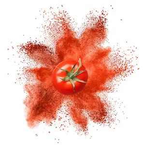 Factory Supply Food Grade Dehydrated Pure Tomato Fruit Powder For Soup