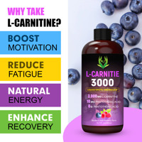 Vente en gros de shots liquides 100% à base de plantes, formule naturelle pour adultes, stimulant énergétique, favorisant la croissance musculaire, L-Carnitine, nutrition sportive rapide