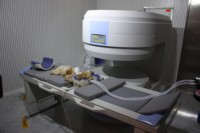 Peralatan Kedokteran Hewan EUR VET Harga Terbaik Mesin MRI Medis Dengan Scanner Radiologi untuk Sistem MRI Permanen