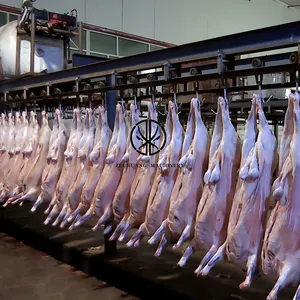 Melhor Qualidade Halal Sheep Abattoir Machinery Halal Slaughter Line Machine Meat Rail System Double Track Pulley Hooks