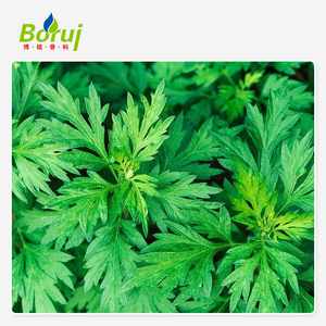 Hierba China 100% Precio a granel natural Artemisa Aceite esencial Repelente de mosquitos Artemisia Argyi Aceite esencial - Product Image 6