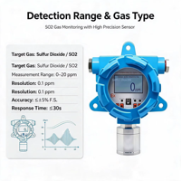 Detector de Gas de Dióxido de Azufre Industrial a Prueba de Explosiones, Monitor Fijo de SO2 con Pantalla LCD, Alta Precisión, 1 Año de Garantía, para Laboratorio