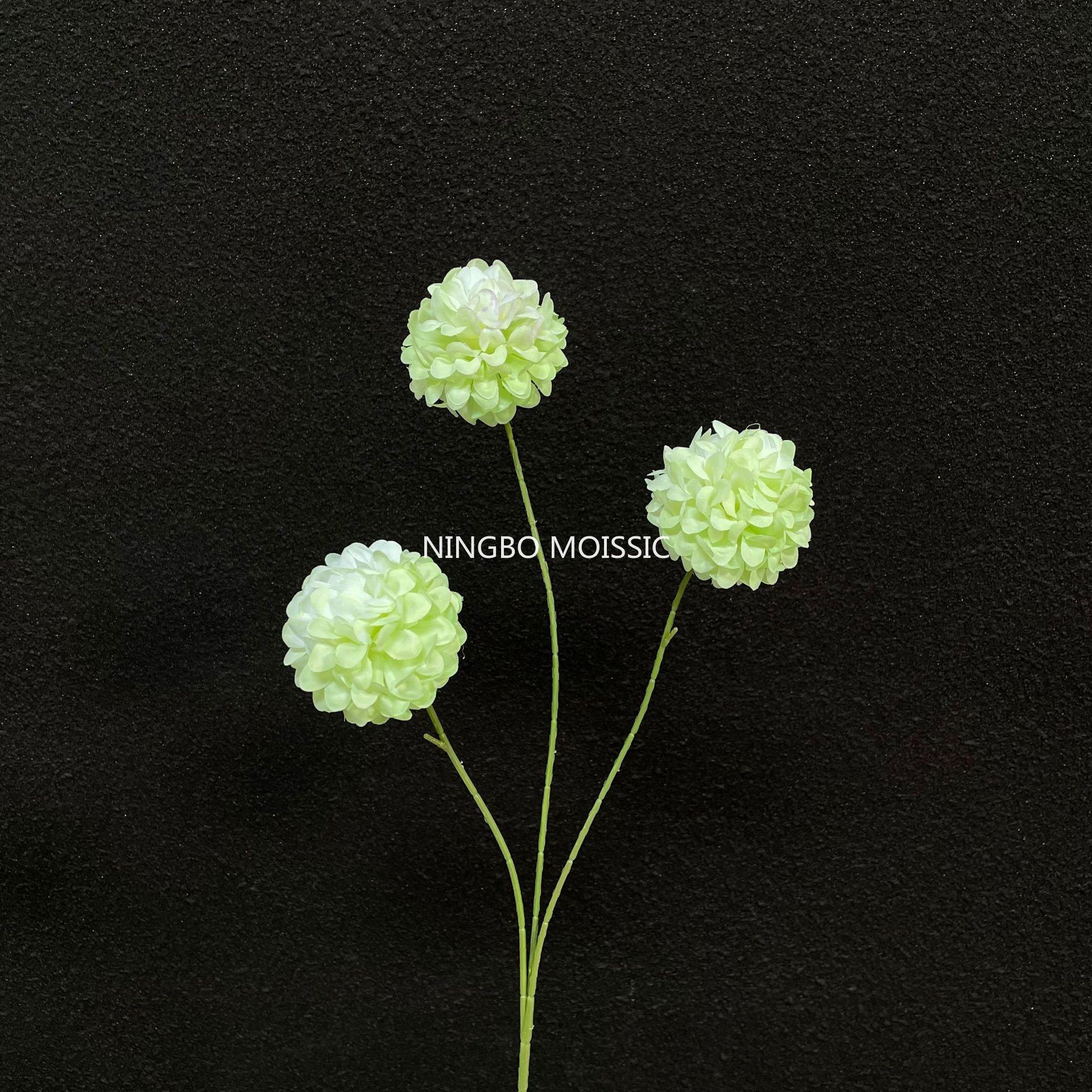 สีเขียว