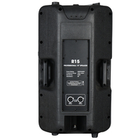 R15 Haut-parleur PA passif professionnel de 15 pouces 500W en plastique pour spectacles en plein air et hôtels