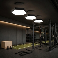 Plafonnier LED modulaire hexagonal pour salle de sport, studio de fitness