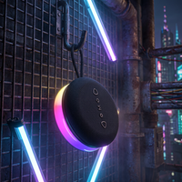 Jedel Enceinte Portable Magnétique avec Éclairage RGB Coloré, Radio FM Sans Fil, Lecteur de Carte TF, pour Extérieur et Maison