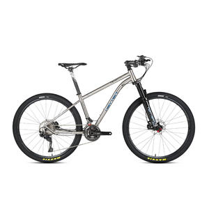 Bicicleta de Montaña <span class=keywords><strong>MTB</strong></span> de Aleación de Titanio 29er, 12 Velocidades, Horquilla de Aleación de Magnesio - Product Image 1