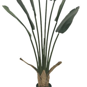 CHUANGFA 1,6 M Bonsai artificial Palma <span class=keywords><strong>del</strong></span> <span class=keywords><strong>viajero</strong></span> en forma de abanico en plástico para decoración de oficina o paisaje para cumpleaños Pascua - Product Image 2