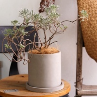 Jardinière cylindrique ronde en ciment simple personnalisée avec plateau pour pot de plantes de jardin décoratif intérieur et extérieur