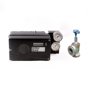Posicionador de Válvula Flowserve PMV D20 con Wuzhong China - Product Image 4