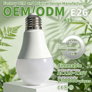 Ampoule LED Globe SMD A19 AC110V Dimmable avec Abat-jour en PC et Culot en Aluminium Revêtu de Plastique, Indice de Rendu des Couleurs Ra80 - Product Image 2