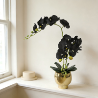 Bunga Anggrek Moth Buatan Berkualitas Tinggi dengan Pot Emas, Sentuhan Asli, Anggrek Phalaenopsis Hitam Palsu untuk Dekorasi Meja Rumah