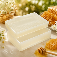 Boîte de stockage de miel de qualité alimentaire pour cadres de ruche, cassette à miel, conteneur, outils d'apiculture