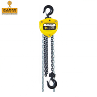 Palans à chaîne manuels ALLMAN de 6 tonnes avec une hauteur de levage de 1,5 m à vendre