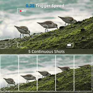 SENSVISION Kamera Trail Tahan Air 4g Lte Kamera Satwa Liar Kamera Inframerah Kamera Trail Berburu Luar Ruangan Kamera Trail Tenaga Surya - Product Image 5